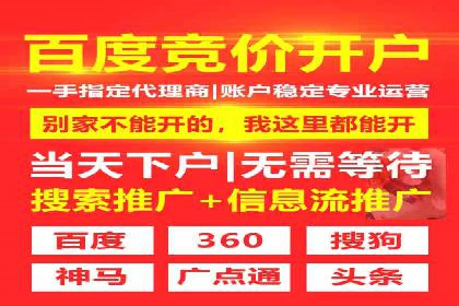 行业巨头背后的SEM推广代运营公司